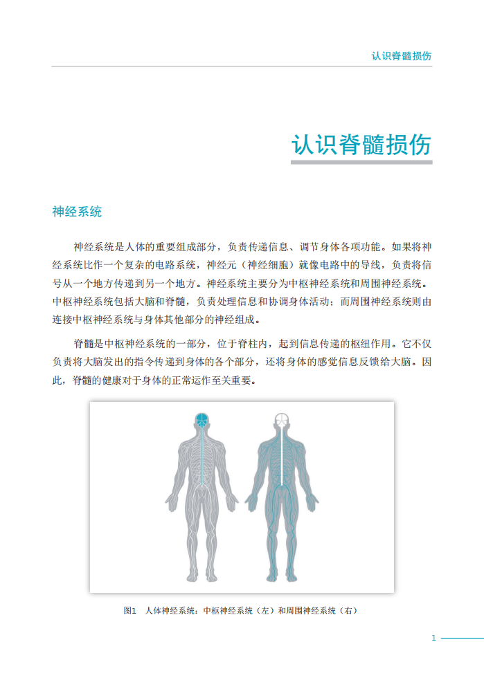 2023年脊髓损伤治疗的最新突破