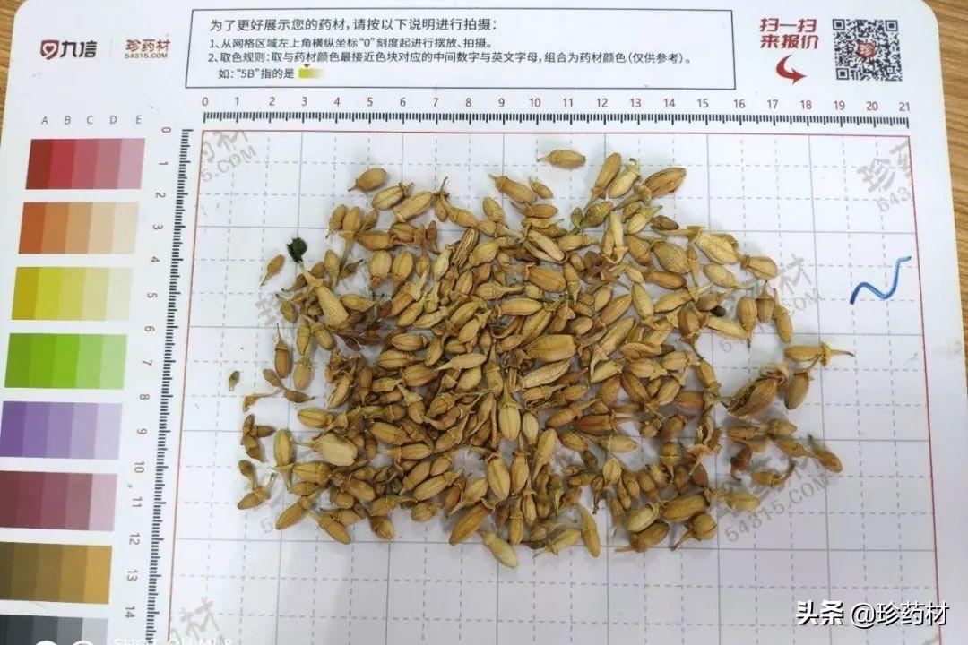 干姜最新价格动态及市场分析