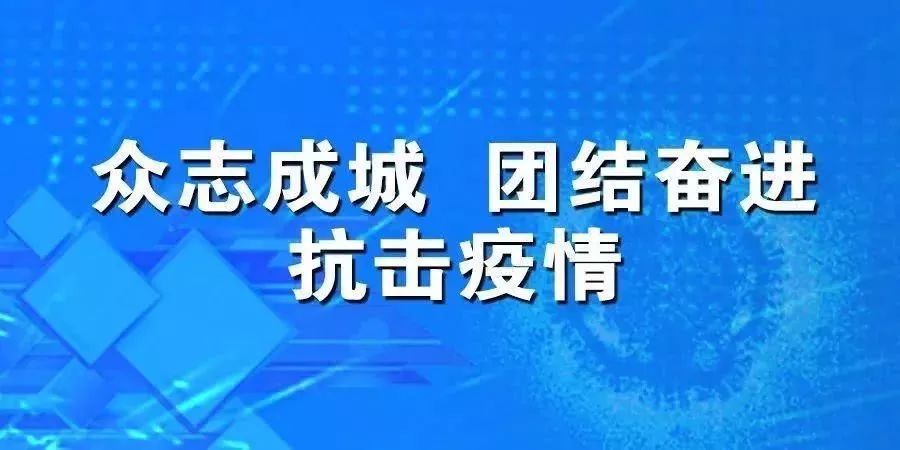 蜂融网最新消息全面解读，创新金融科技的持续领跑者