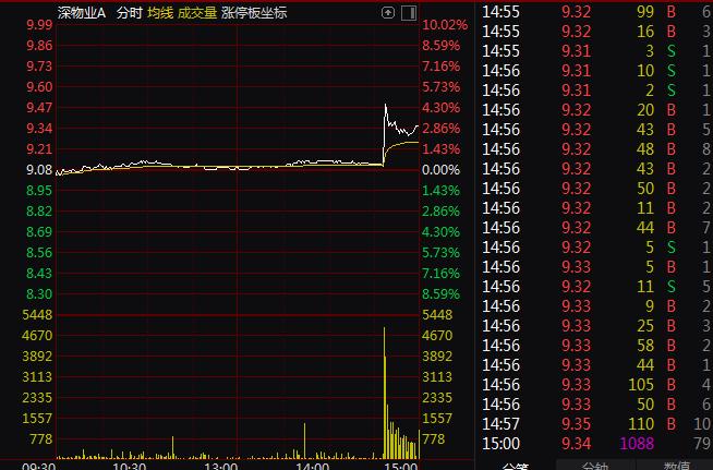 深华发A最新消息全面解析