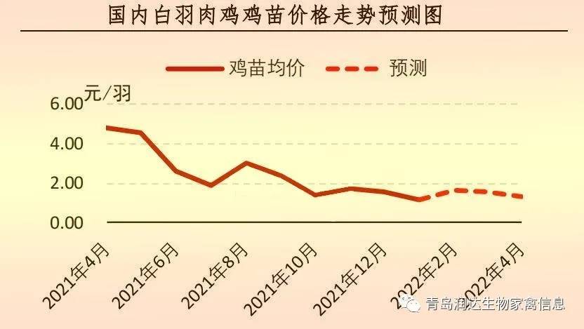 肉鸡最新价格行情分析